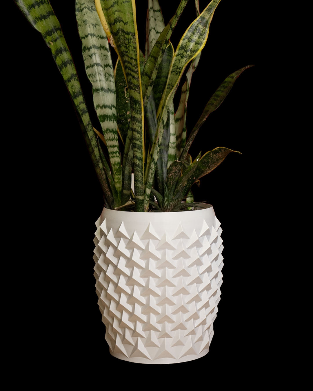 Pointy Flowerpot