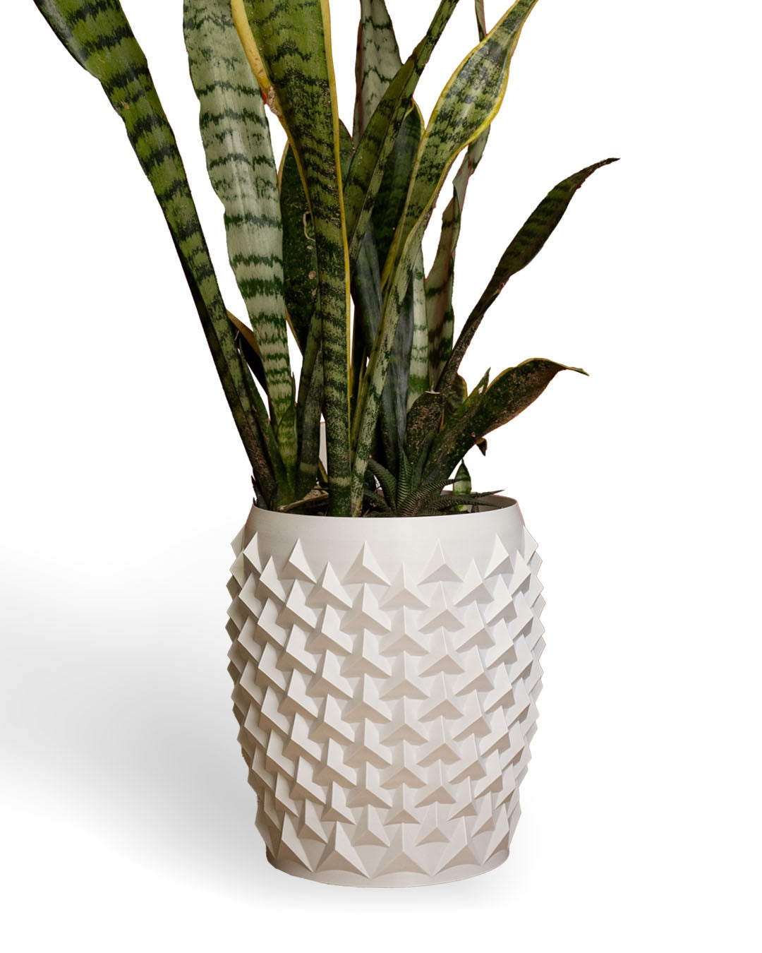 Pointy Flowerpot